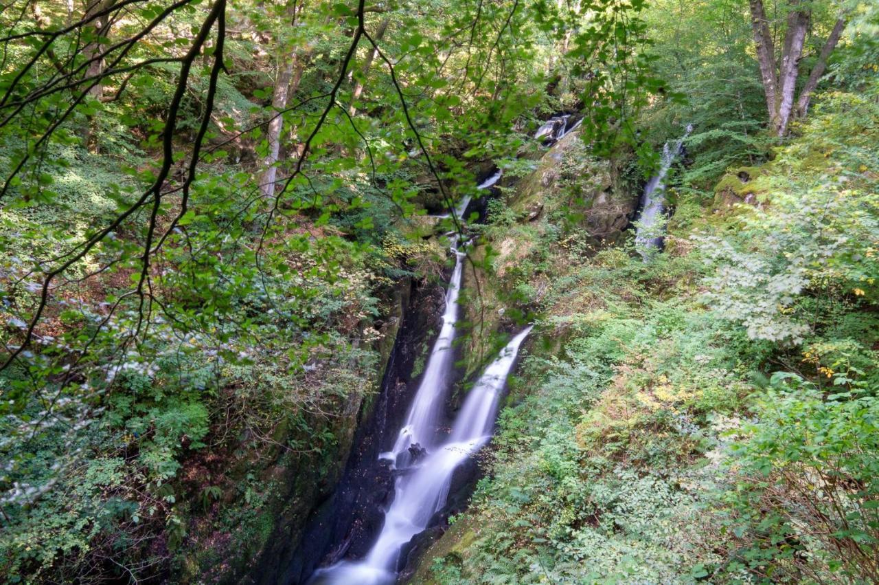 Tree Tops At The Falls - Great For Families, Central Location With Parking Ambleside Exterior foto